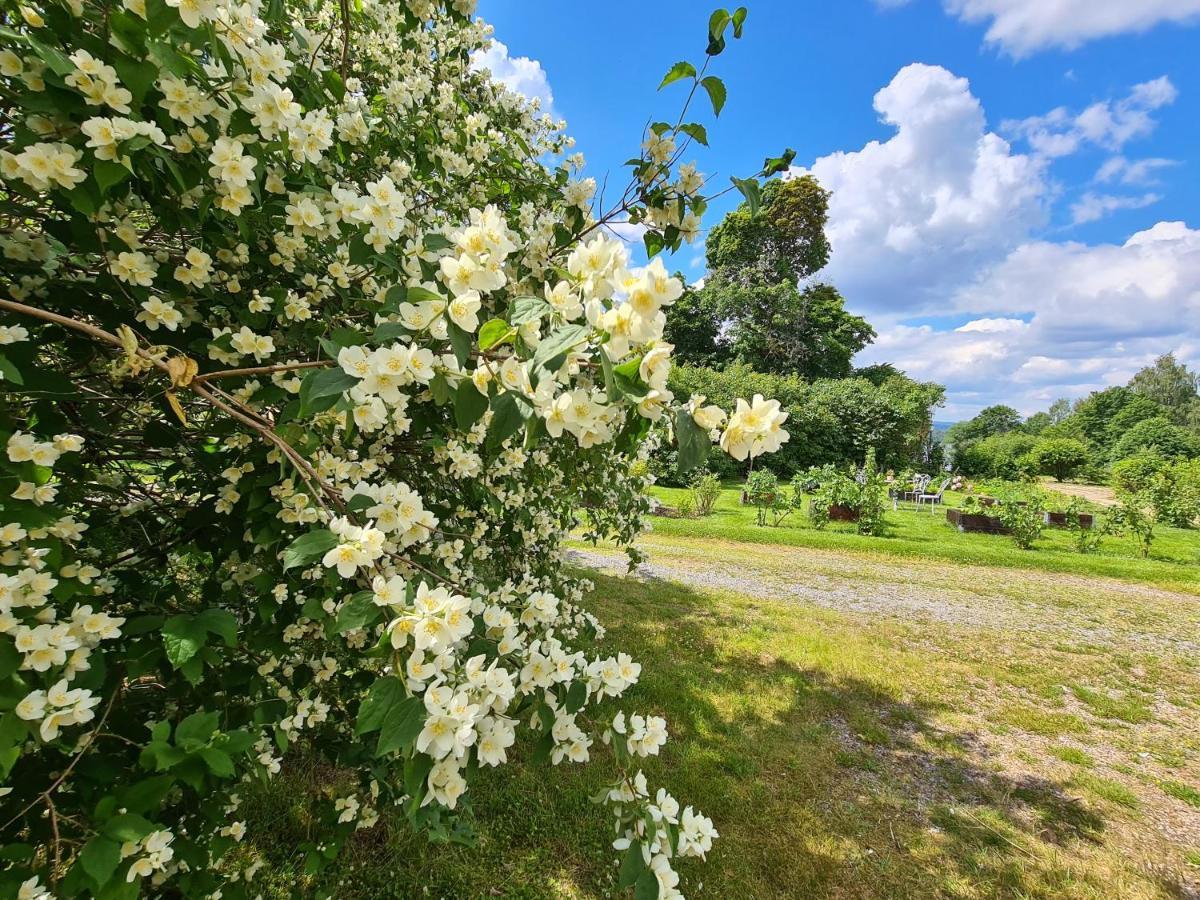 Risberg Herrgard Hagfors Bagian luar foto